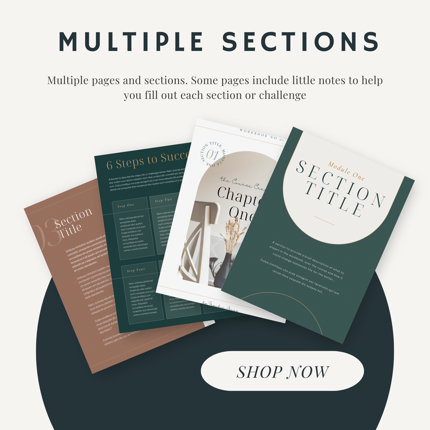 The course creator workbook